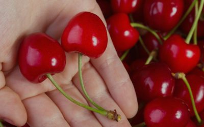 Sprint, la clave para adelantar y optimizar la cosecha de frutas